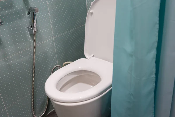 Toilet Flush Keramische Kom Met Groen Gordijn Badkamer — Stockfoto