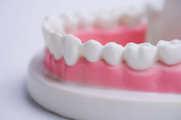 Falešné Čelisti Žvýkačkou Zuby Bílém Pozadí — Stock fotografie