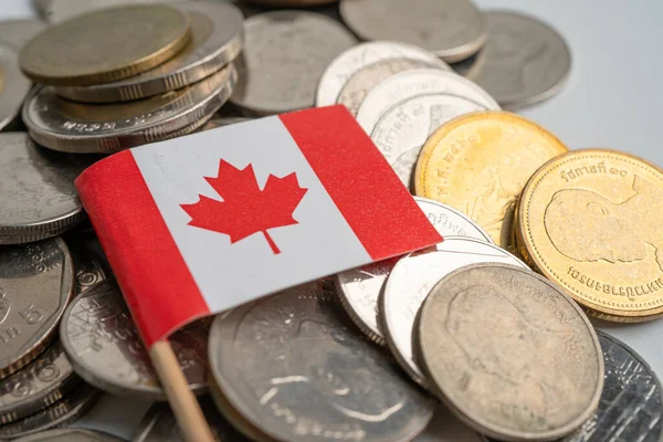 Bandera Canadá Sobre Fondo Monedas Finanzas Contabilidad Concepto Bancario — Foto de Stock