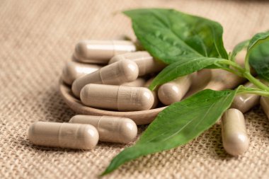 Andrographis paniklemesi veya kariyer yaprağı bitkisi covid-19 coronavirüs enfeksiyonunu tedavi etmek için bitki kapsülleri ile.