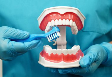 Hasta için diş fırçası ve diş fırçasıyla diş temizliği yapan Asyalı bir dişçi..