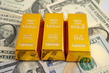 ABD doları ve Euro banknotu üzerine altın külçesi, ekonomi finansmanı ticaret yatırımı.