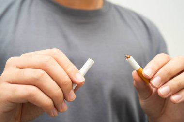 Sigarayı bırak, Asyalı genç adam kırıyor sigarayı yok et.