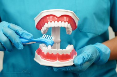 Hasta için diş fırçası ve diş fırçasıyla diş temizliği yapan Asyalı bir dişçi..