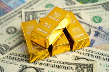 ABD doları ve Euro banknotu üzerine altın külçesi, ekonomi finansmanı ticaret yatırımı.