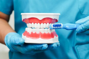 Hasta için diş fırçası ve diş fırçasıyla diş temizliği yapan Asyalı bir dişçi..