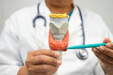 Hipertiroidizm, aşırı aktif tiroid, tiroid lenfoma, tiroid bezi olan Asyalı doktor hastanede insan modeli..