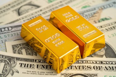 ABD doları ve Euro banknotu üzerine altın külçesi, ekonomi finansmanı ticaret yatırımı.