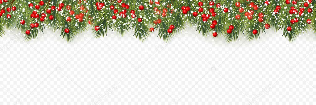 Festive Christmas or New Year Background. Christmas tree branches with holly berries. Holiday's Background. Vector illustration.