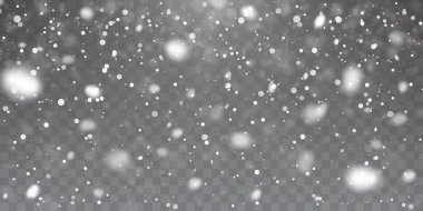 Noel karı. Şeffaf arkaplanda düşen kar taneleri. Kar yağışı. Vektör illüstrasyonu.