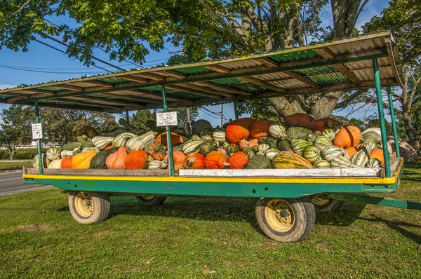 Tiempo de cosecha Imagen de stock