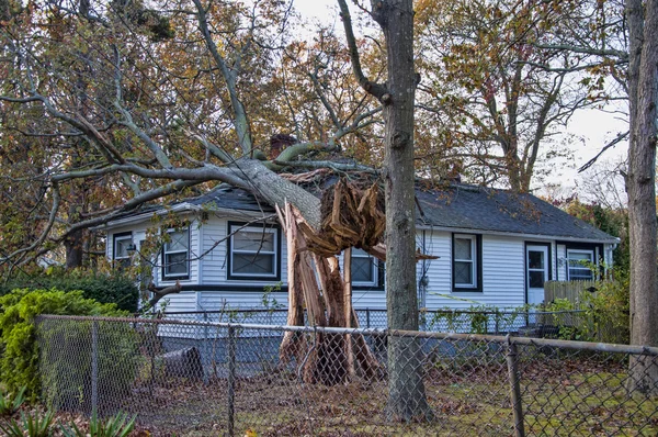 Hurricane Damage — Stock Photo, Image