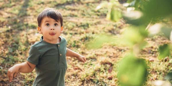 Menino pequeno caucasiano está olhando para a árvore à procura de uma fruta enquanto joga em um campo durante o dia das crianças — Fotografia de Stock