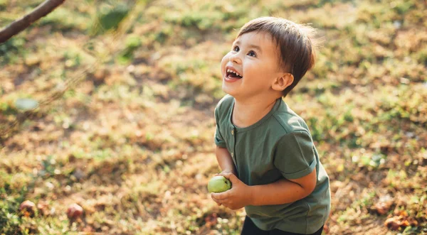Menino caucasiano alegre segurando uma maçã e olhando para a árvore enquanto brincava em um campo durante o dia internacional das crianças — Fotografia de Stock
