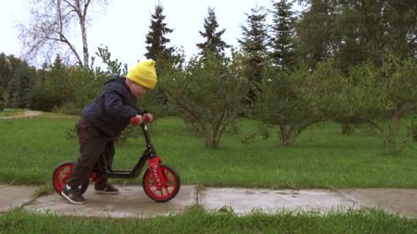 Niño pequeño en ropa de abrigo está montando una bicicleta sin pedales en un parque durante una caminata de otoño — Vídeos de Stock