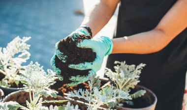 Beyaz bir kadının eldiven giymiş, saksı saksısı dikerken ve saksıları hazırlarken fotoğrafını çek.