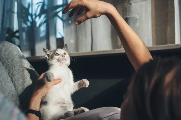 Kaukasierin und ihre Katze spielen auf der Couch und gestikulieren mit der Hand auf das Tier — Stockfoto