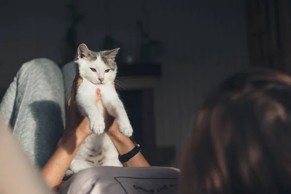 Foto von einer kaukasischen Frau, die im Bett liegt und mit ihrer Katze spielt, die sie an einem sonnigen Morgen hält — Stockfoto