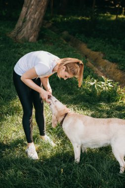 Sarışın kadın oyuncak bir topla parkta Golden Retriever 'ıyla oynuyor.