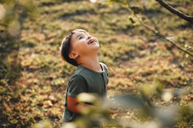 Kafkasyalı küçük bir çocuk, elinde elmayla ağaca bakıp gülümsüyor.