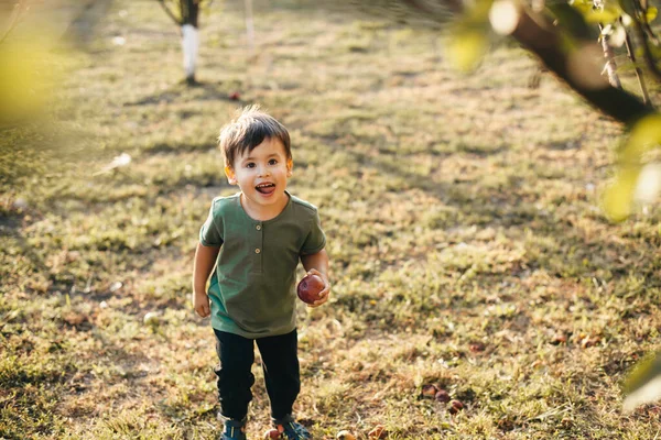 Милый маленький мальчик гуляет в парке по зеленой траве с яблоком в руках. — стоковое фото