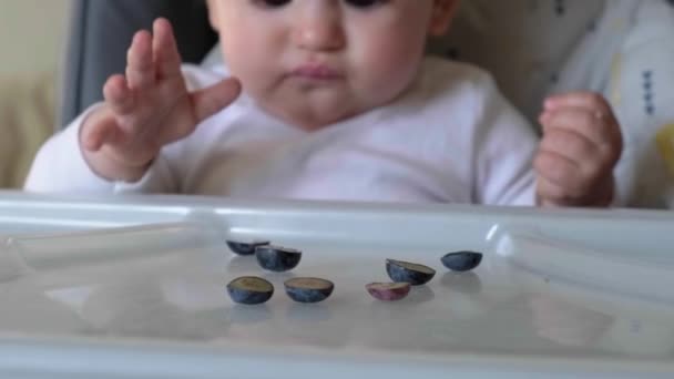 Schattige pasgeboren baby eet gesneden stukken bosbessen aan tafel — Stockvideo