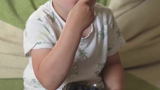 Piccolo ragazzo caucasico è seduto sul divano a mangiare mirtilli sorridenti a qualche membro della famiglia — Video Stock