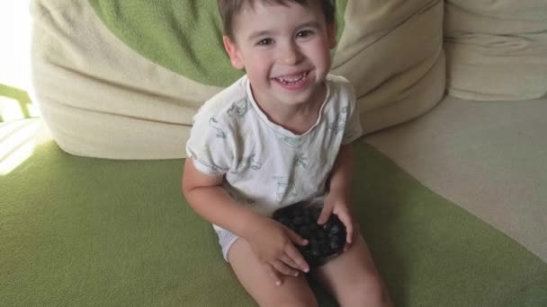 Upper view video of a cheerful caucasian boy smiling at camera while eating blueberries on the couch — Vídeos de Stock