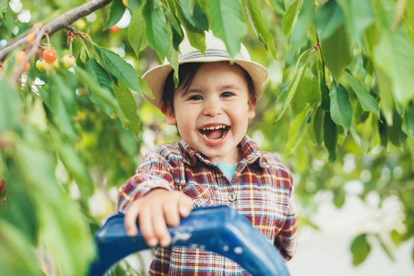 Lächelnder kleiner Junge mit Hut isst Kirschen von einem Baum und schaut in die Kamera — Stockfoto