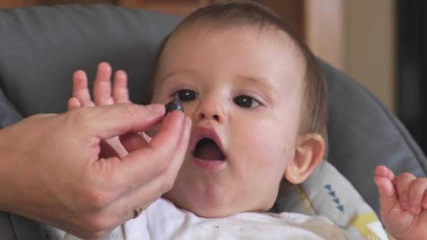 Caucasico madre è alimentazione piccolo bambino con bacche mentre lei è sorridente sdraiato in un poltrona — Video Stock