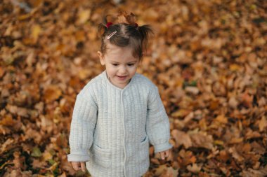 Neşeli bir çocuk mutlu bir şekilde güzel ve huzurlu bir doğal ortamda renkli sonbahar yapraklarını keşfeder.