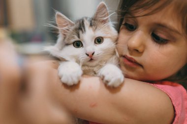 Kucaklayan kedi yavrusu, yakın çekim, hassas yüz ifadesi, yumuşak ışık, nazik göz.