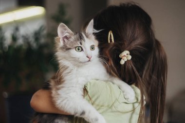 Genç kız sarılıyor gri kediye, yumuşak iç mekan ışığı, rahat ev düzeni, yeşil elbise ve saç yayı, sevecen ifade, sakin duruş