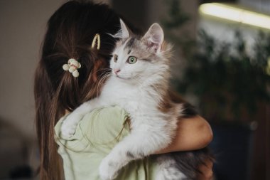 Çocuk kucaklayan pofuduk kedi içeride, rahat kucaklayan evcil hayvan bağı ve şefkatli saç tokası, pastel