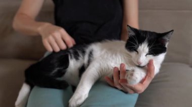 Siyah beyaz kedi kadının kucağında hafifçe okşanıyor, gözleri yarı kapalı ve rahat, tüyleri ve bıyıkları yumuşak, elleri titrek
