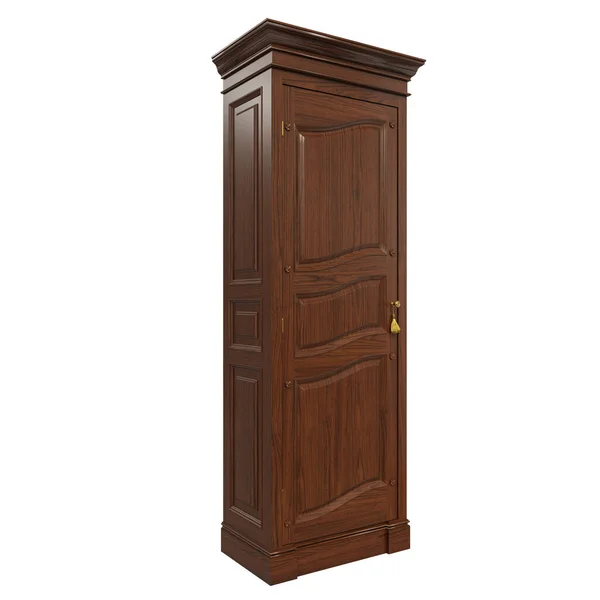 Render Classic Style Wooden Wardrobe Classroom Libraries Interiors Classic Style — Photo