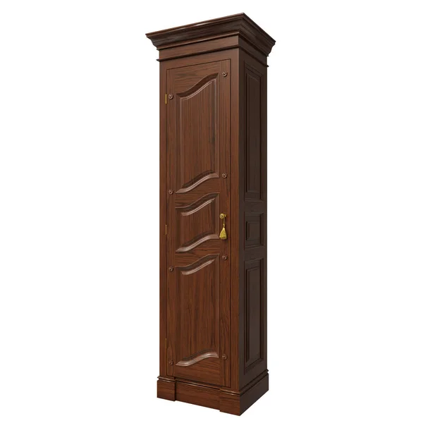 Render Classic Style Wooden Wardrobe Classroom Libraries Interiors Classic Style — Photo