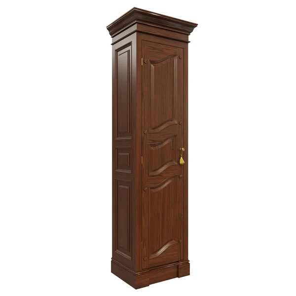 Render Classic Style Wooden Wardrobe Classroom Libraries Interiors Classic Style — Stok fotoğraf