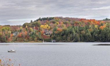Kanada 'nın Quebec kentindeki Gatineau nehri boyunca sonbahar renkleri