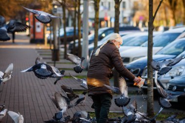 RIGA, LATVIA. 20 Kasım 2020. Seçici odak fotoğrafı. Kadın sokaklarda güvercin besliyor..
