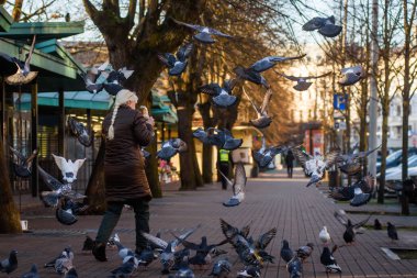 RIGA, LATVIA. 20 Kasım 2020. Seçici odak fotoğrafı. Kadın sokaklarda güvercin besliyor..