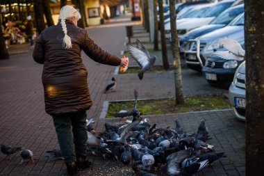 RIGA, LATVIA. 20 Kasım 2020. Seçici odak fotoğrafı. Kadın sokaklarda güvercin besliyor..