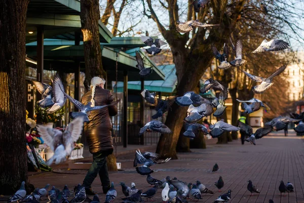 RIGA, LATVIA. 20 Kasım 2020. Seçici odak fotoğrafı. Kadın sokaklarda güvercin besliyor..