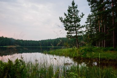 Ormanda, gölün üstünde gün batımı. Letonya 'da Pilezerler Gölü.