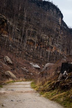 HRENSKO, CZECH Cumhuriyet. 30 Mart 2025. Dağlarda yanmış ağaçlar olan Pravciska Brana vadisi. Pravciska brana Çek Cumhuriyeti 'nin Bohemian İsviçre' sinde bulunan dar bir kaya formasyonudur..