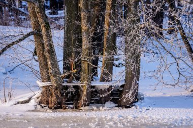 Karnikav, LATVIA. 21 Ocak 2026. Letonya, Carnikava 'da donmuş Vecgauja nehrinin yakınındaki buz ağaçları kaplamıştı. Sabahları etrafta güzel bir don görülüyordu..