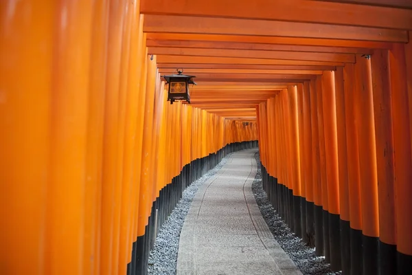 Tori tysięcy drzew w Japonii — Zdjęcie stockowe