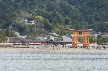 Tori Hiroşima Japonya'da