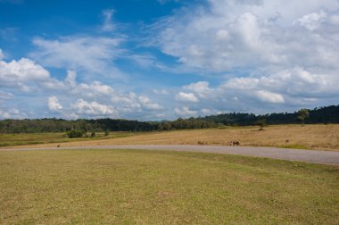 Tayland Kara ve mavi gökyüzü
