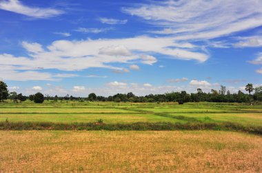 Dağ ve çiftlik Tayland